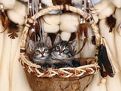 Bundle of Lovin